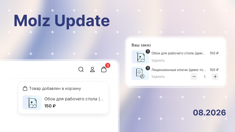 Обновление Molz: Корзина покупок
